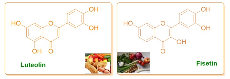 Kevin Muthima Chemical modifications