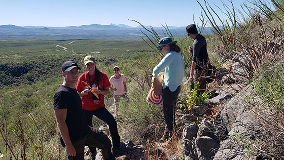 Students gathering plant specimens