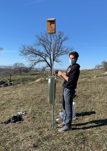 Drew Volpp-Garcia (B.S. in Biology) with the very first violet-green swallow nestbox installed