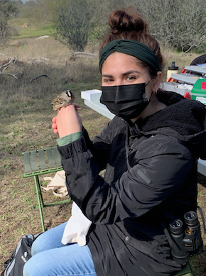 Esther Fernandez (M.S. in Biology) with a white-crowned sparrow.