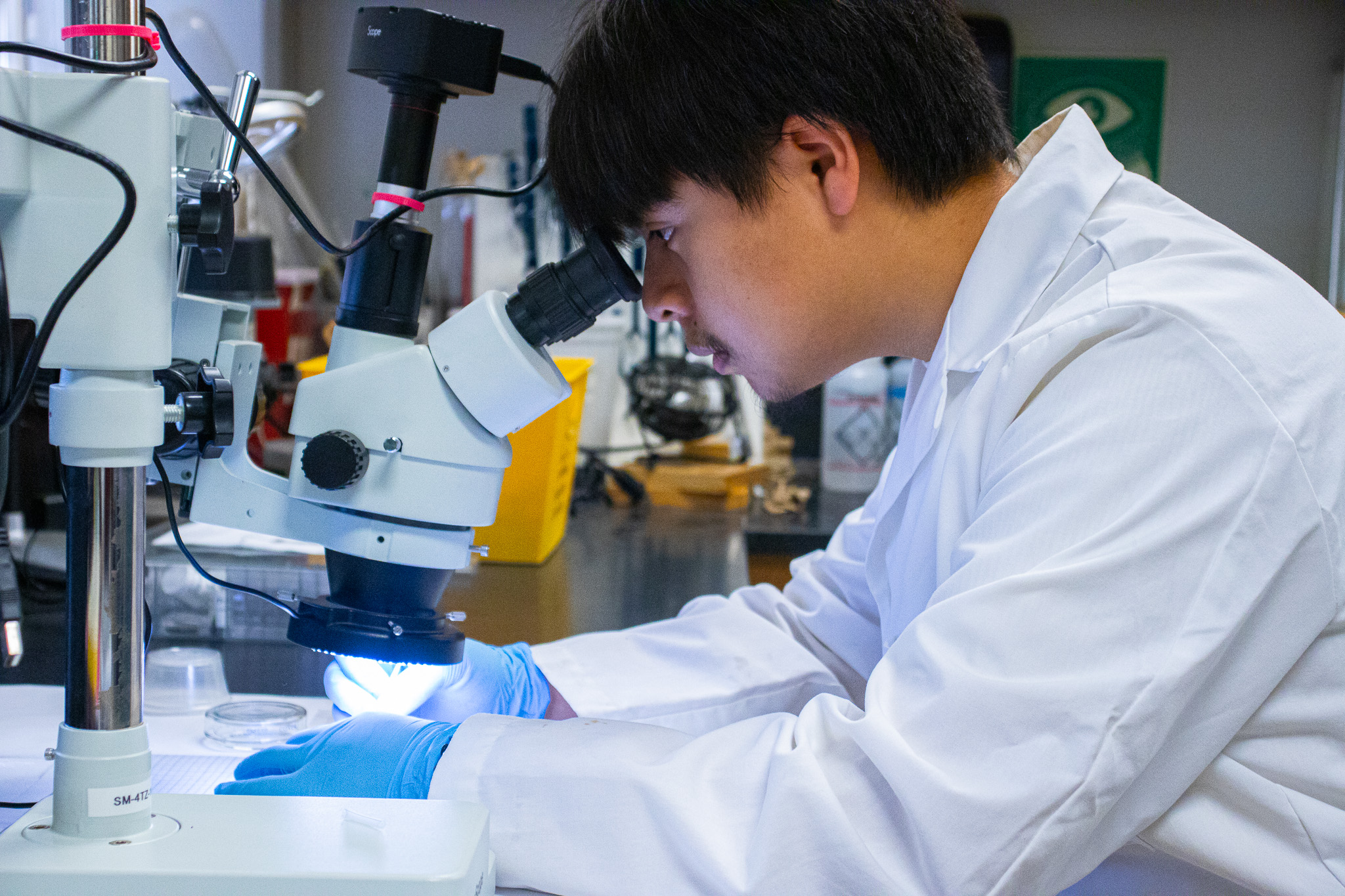 Student conducting research in a lab.