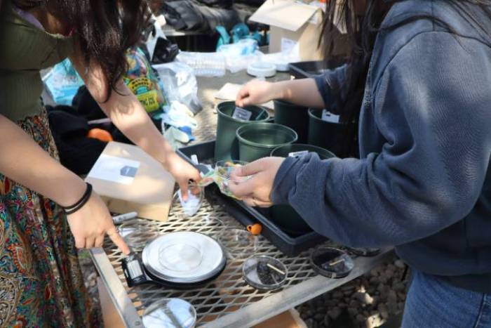 Biochar and Manure CSM Students Working Together To Possibly Compare Between Samples