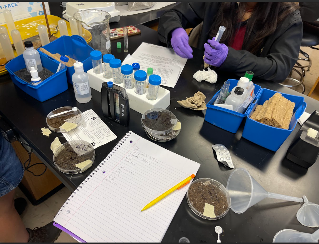 CSM Bond Students Utilizing Equipment To Obtain Data
