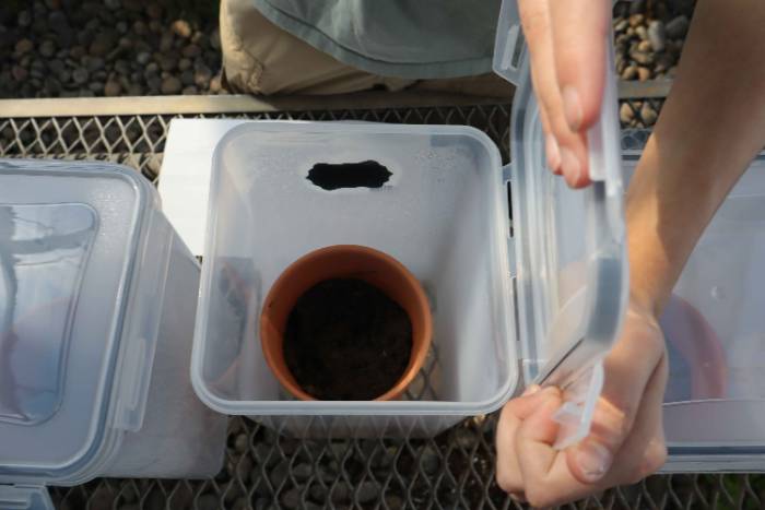 Student examining VOC soil samples