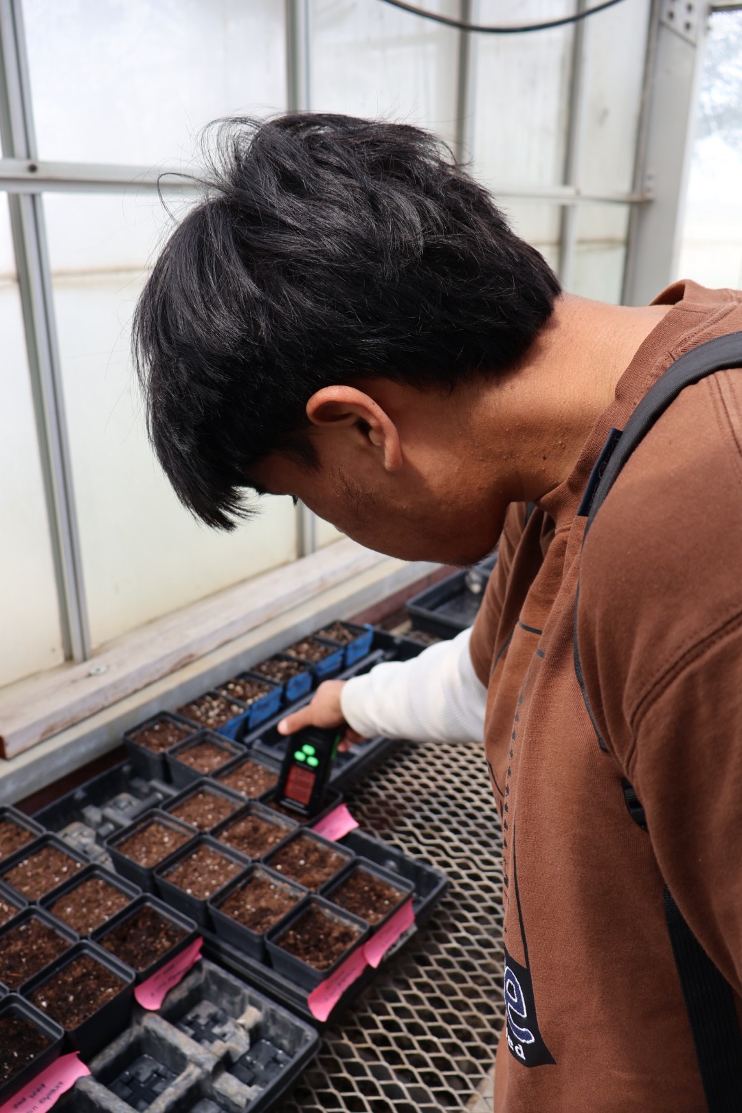 Student researcher using an EMF detector on the seeds they microwaved.