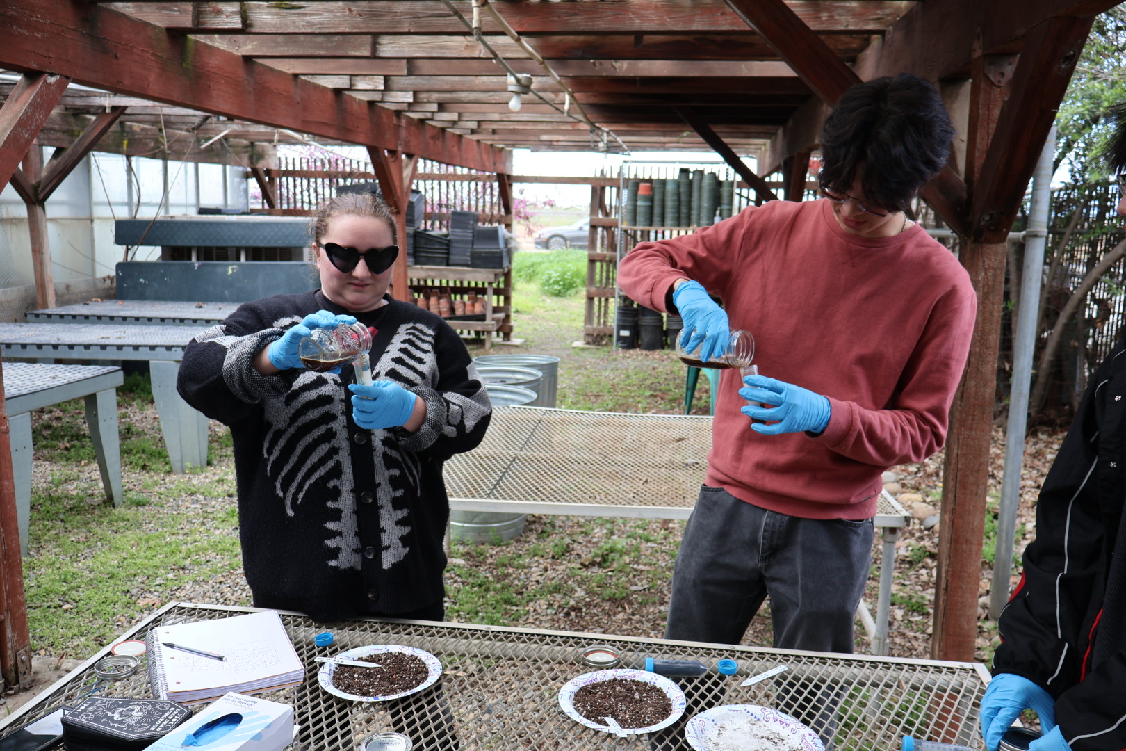 Two research students pouring a mixture of molasses and water.