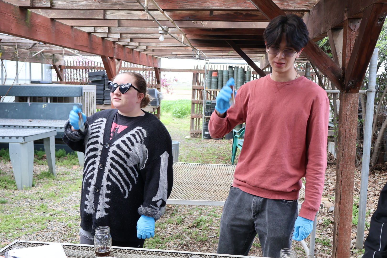 Two student researchers shaking water and molasses mixture in a test tube. 