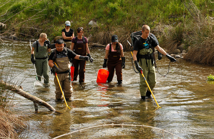 Student walking in the river collecting samples