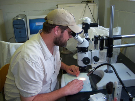 Isn't it ironic, don't ya think...