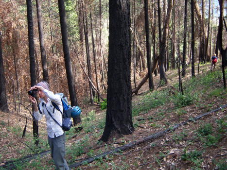 Martin in Poison Oak Missile Dog Creek