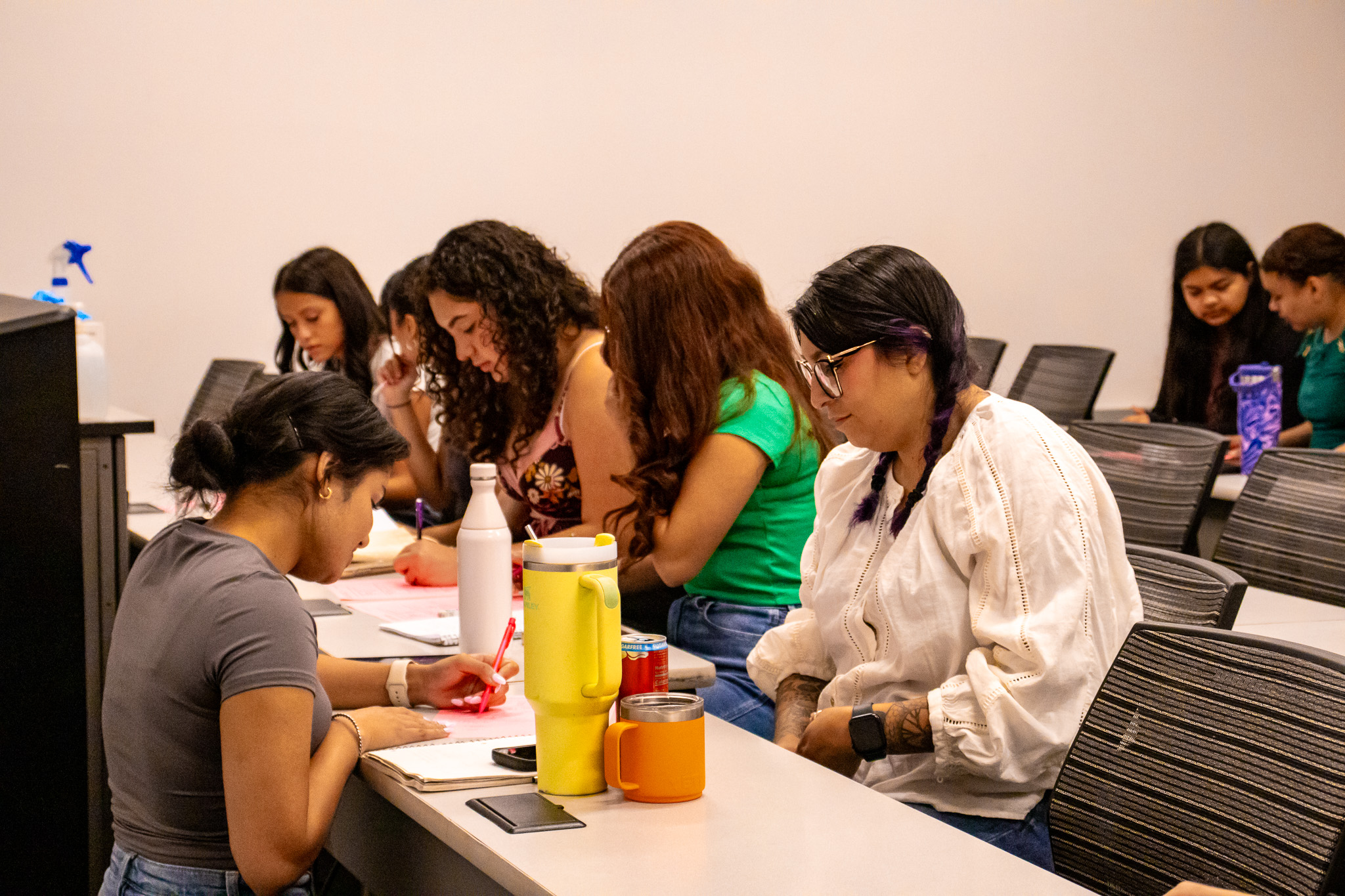 An HPP Peer Mentor assisting a student with her work.