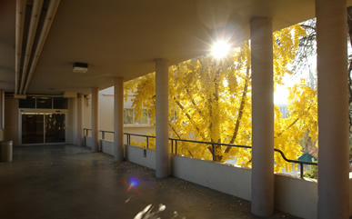 A corridor in McLane Hall