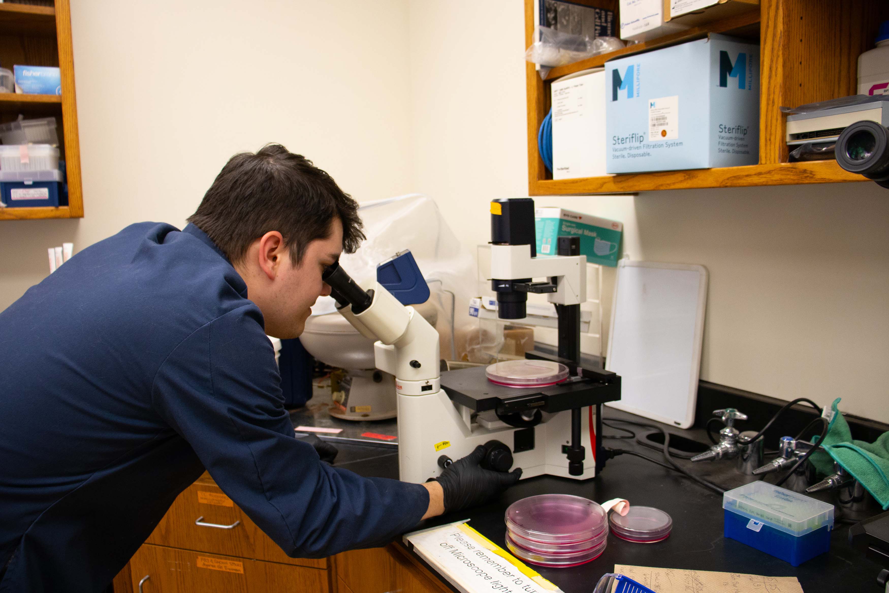 Male Bridge to Doctorate student in a laboratory setting. Student researcher is standing next to a bench looking through a microscope for the picture. Student is wearing a blue lab coat, and bllack latex gloves.
