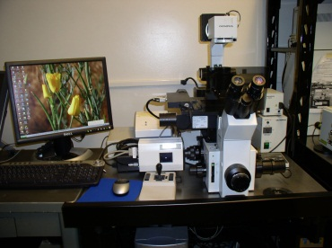 4D Microscopy FRET Imaging