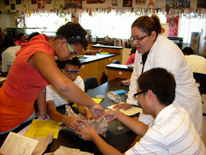 Biology Teacher assisting students with a lab project